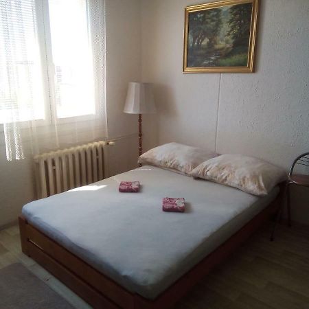 Studio Type Apartment Plzen Exterior photo
